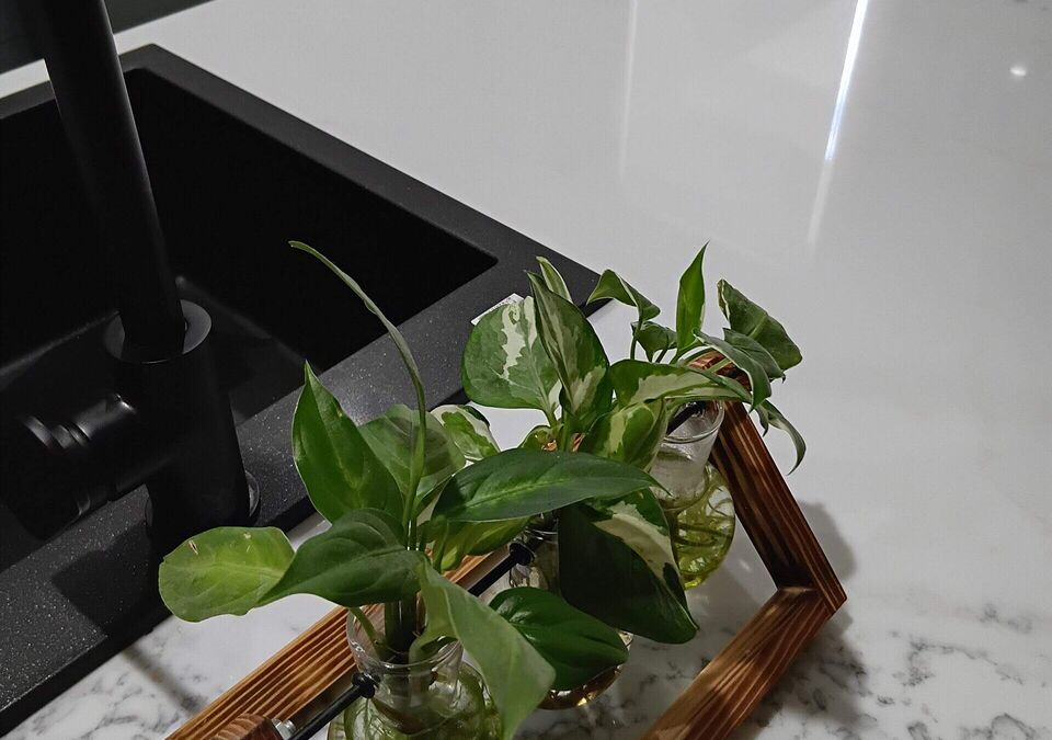 A white stone benchtop with a decorative plant